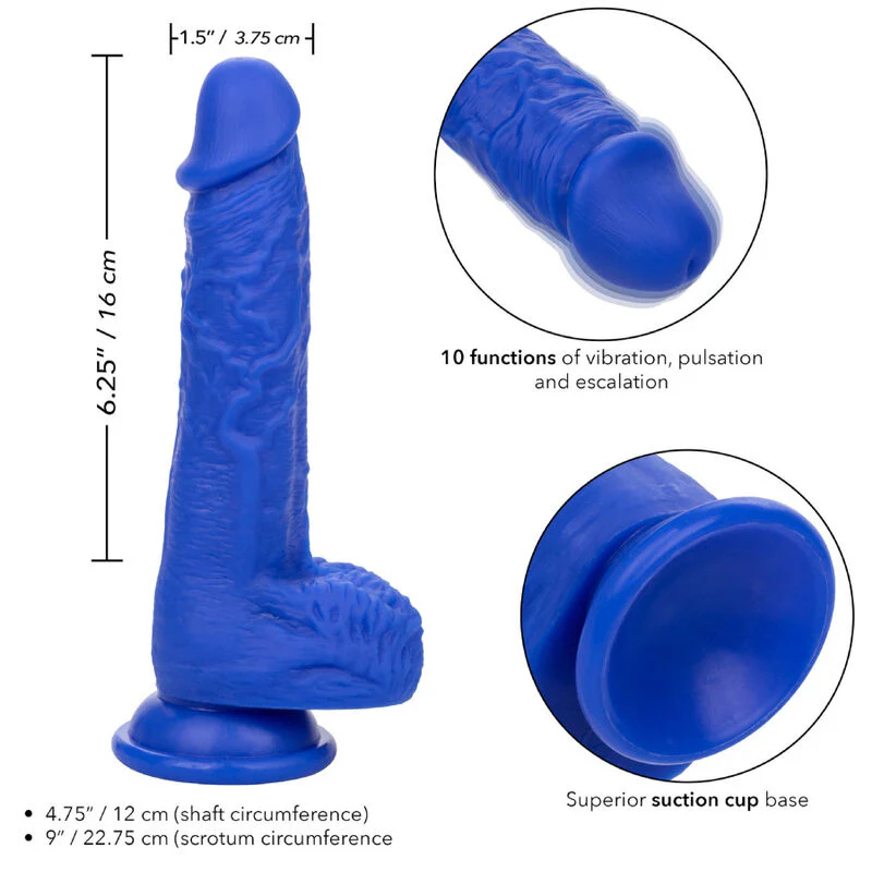 CALEXOTICS - ADMIRAL SAILOR REALISTIC DILDO VIBRADOR AZUL - Image 4