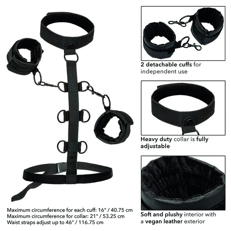 CALEXOTICS - BOUNDLESS RETENO CORPORAL DE COLAR - Image 6
