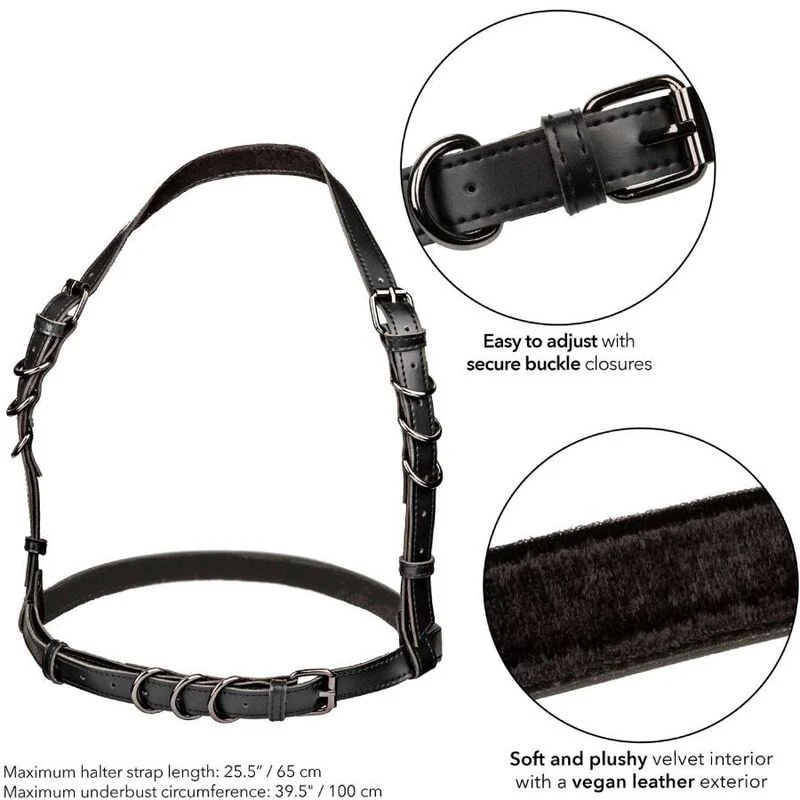 CALEXOTICS - EUPHORIA ARNÊS DE FIVELA HALTER PRETO - Image 5