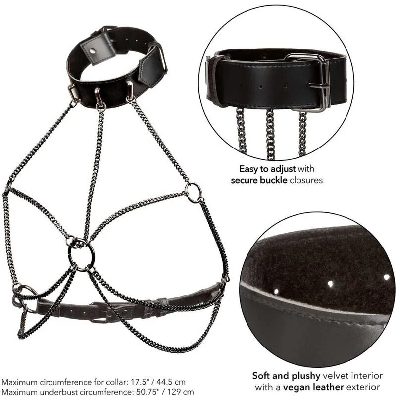 CALEXOTICS - EUPHORIA PLUS SIZE MULTI CHAIN COLLAR ARNÊS - Image 5