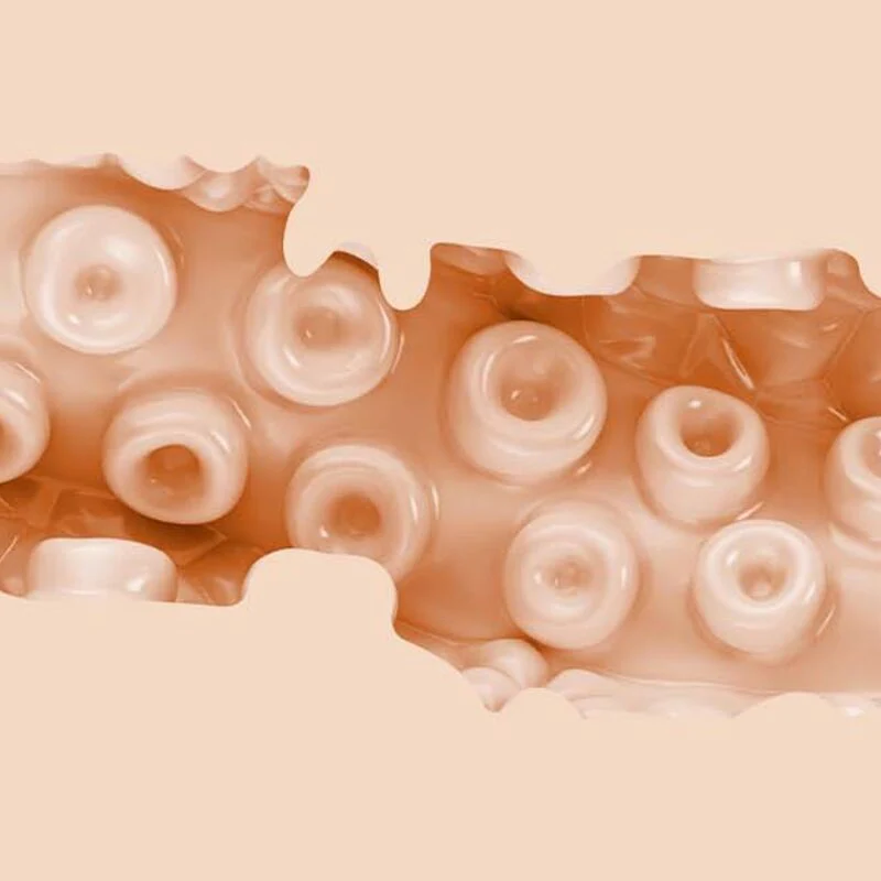 FLESHLIGHT FANTASIA - SASHA NAKAMOTO VAGINA - Image 5