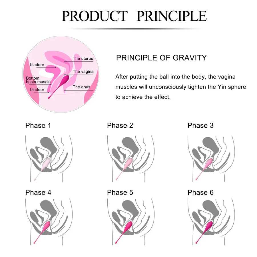 LESLIE - KEGEL FIT PELVIC MUSCLE TRAINING CONJUNTO 6 PCS - Image 14