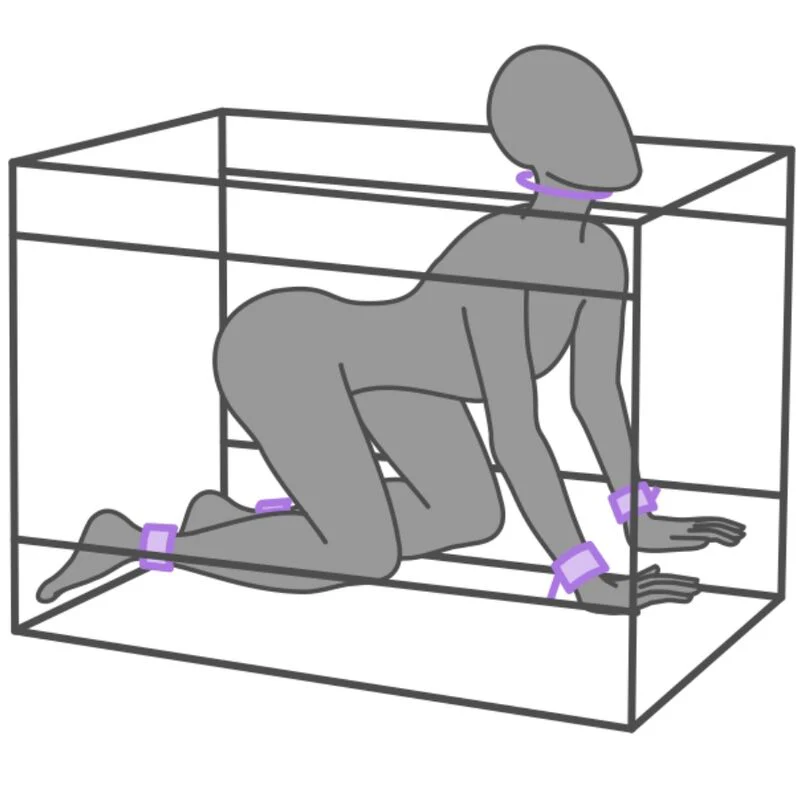 SECRET DOME - KINK CLUB LA NICHE CABINE ROXA - Image 4